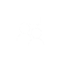 1对1